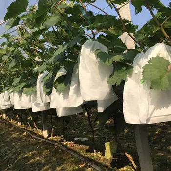 

100pcs Apples Fruit Protection Bag Pouch Garden Vegetable Grapes bags Agricultural Pest Control Anti-Bird Mesh Bag Fruit Bagging