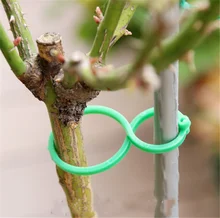 

50/100 Pcs Plant Support Garden Clips Trellis For Vine Vegetable Tomato To Grow Upright Garden Raised Bed Plant Stand Tool