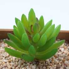 1 шт. искусственный сауссуреа форма суккулент растения декоративные колья и ветер Спиннеры сказочные миниатюры сад Террариум с мхом ремесла