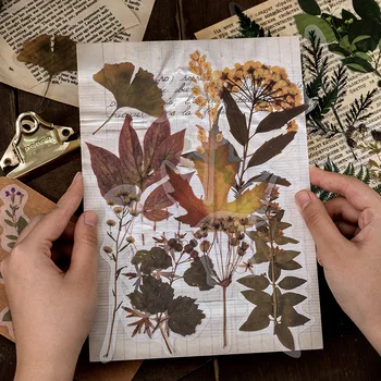 

10pcs/set PET Sticker Plant Leaves Flower Specimen Book Vintage Art DIY Decorative Stickers School Supplies Stationery Craft