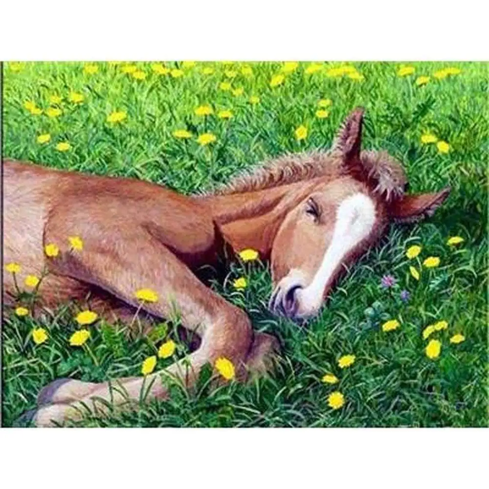 Full Square Diamond Painting Cross Stitch 5D Embroidery Pony flower Rhinestones Art Bead Picture Kits Home Decor | Дом и сад