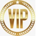 

vip dp cushion cover