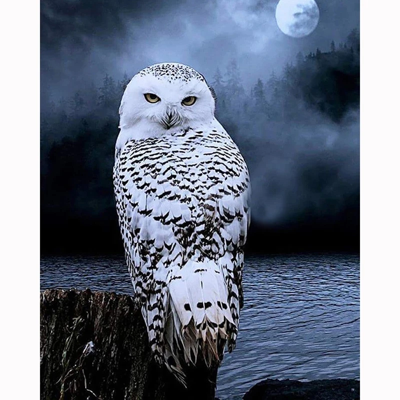 

Night Owl Around Lake Resin Full diy diamond painting diamond mosaic beadwork embroidery Gift making tools diamond pattern