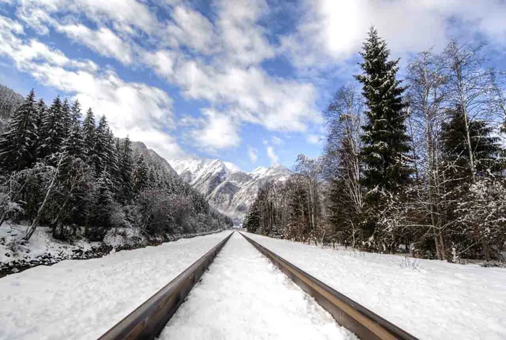 

SHUOZHIKE Vinyl Custom Photography Backdrops Prop Scenery Winter Snow theme Photo Studio Background S19428-04
