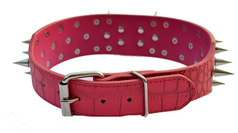 dog collar-1