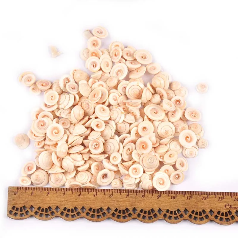 Mini Spiral Natural Shells natural shell ornaments For Flatback Cabochons Handmade Scrapbooking Crafts DIY Aquarium Seashells Home Decoration 50Pcs
