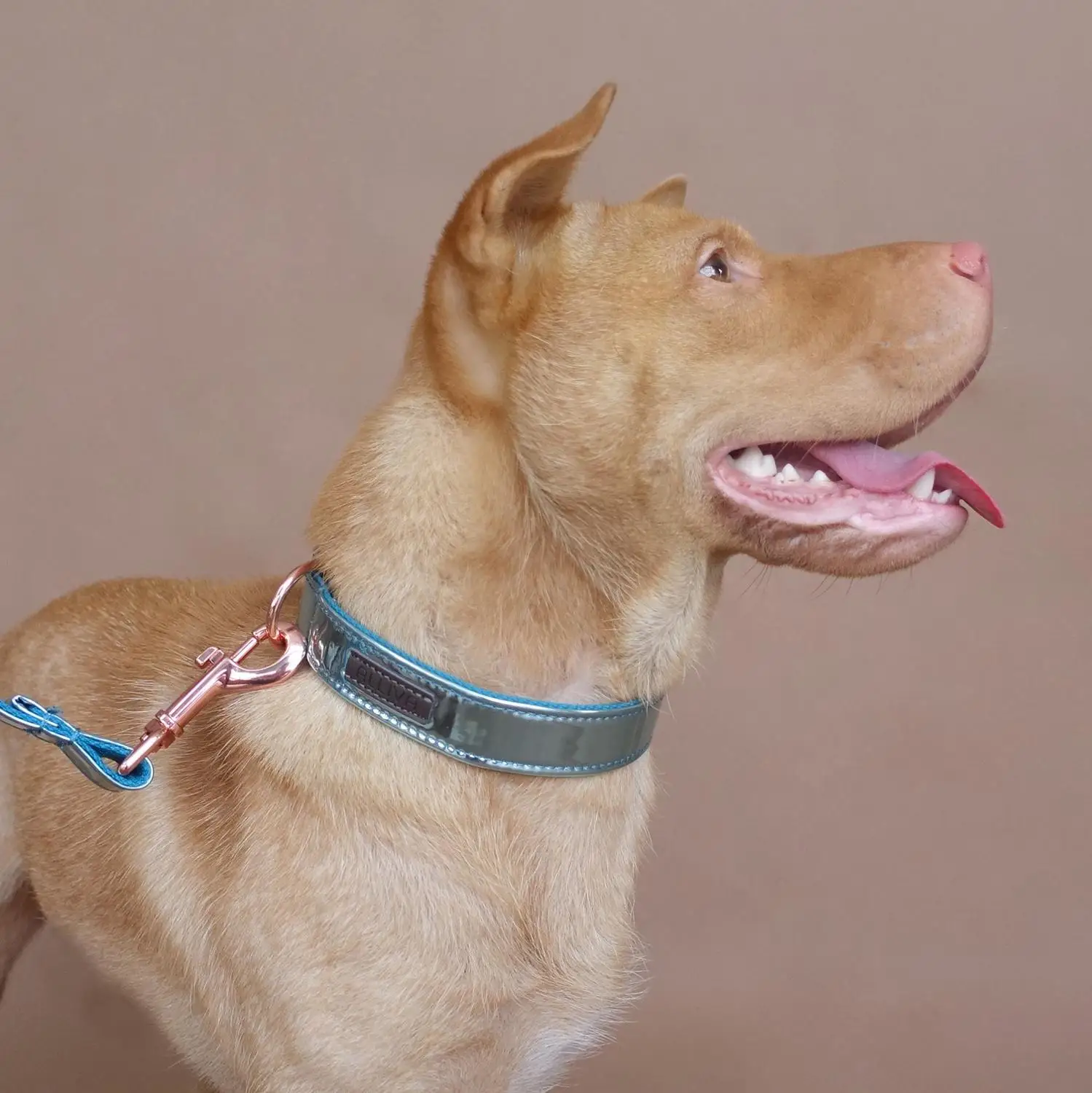 

ALLIVA retailing handmake Pu high quality adjustable cool dog collars and leashes Blue Mirror CBA006