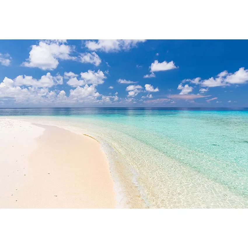 Tropical Beach and Sky Photography Backdrop