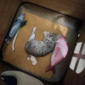 

Catnip Toy Cat Teaser Cat Plush Fish Toy Pillow Set