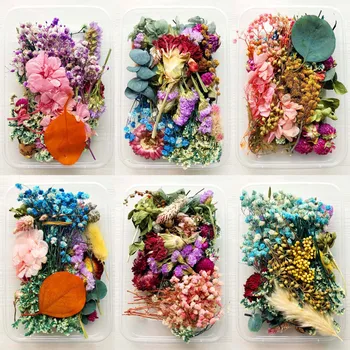

1 box Random style Natural Dried Flowers Herbarium Flower for silicone mold resin jewelry filler home Decorative Crafts oranment