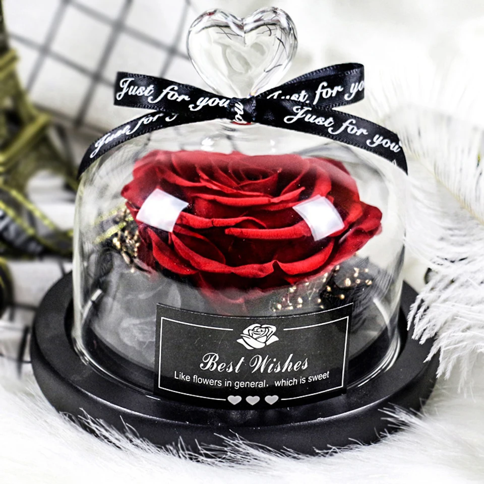 Eternal Rose (25)