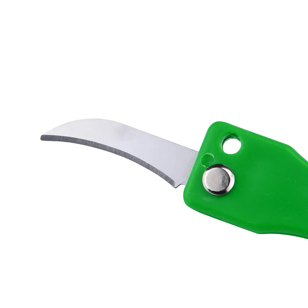 Stainless-Steel-Fish-Skin-Scale-Cooking-Tools-Fish-Cleaning-Knife-Skinner-Fish-Remover-Durable-Brush-Seafood (1)