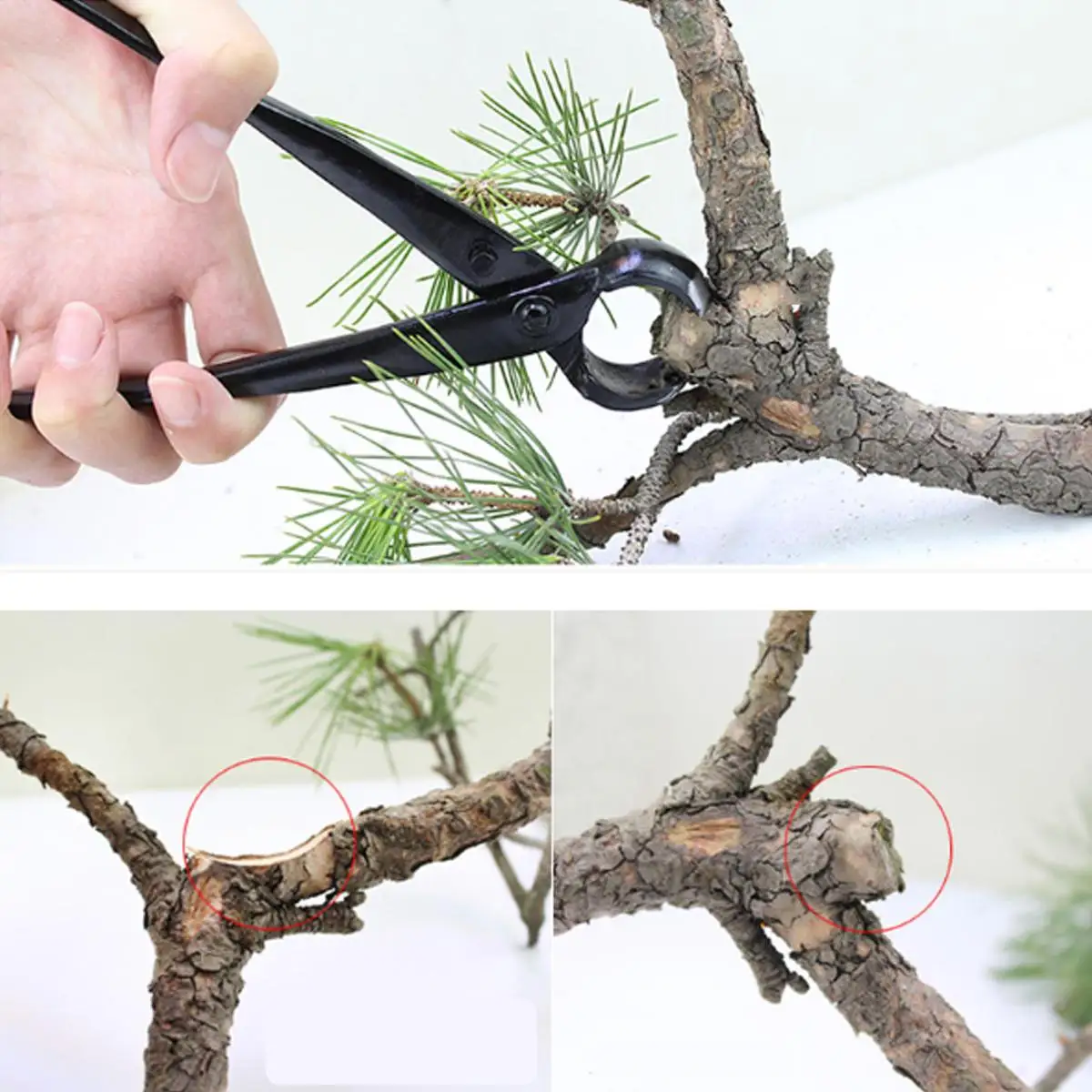 

1pcs 210mm Professional Round Edge Concave Knob Branch Cutter Tool Garden Bonsai Tools Purner New 2019 Garden Supplies Wood DIY