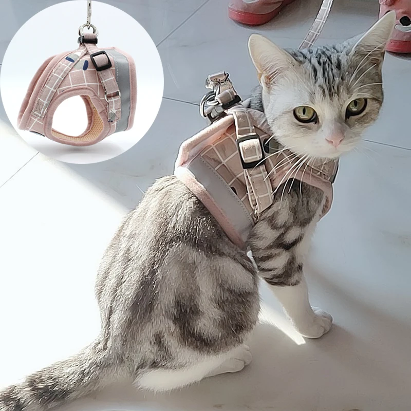 Mode Plaid Kat Harnassen Voor Zomer Mesh Pet Harness En Set Kitty Mascotas Producten Voor Gotas Accessoires - AliExpress