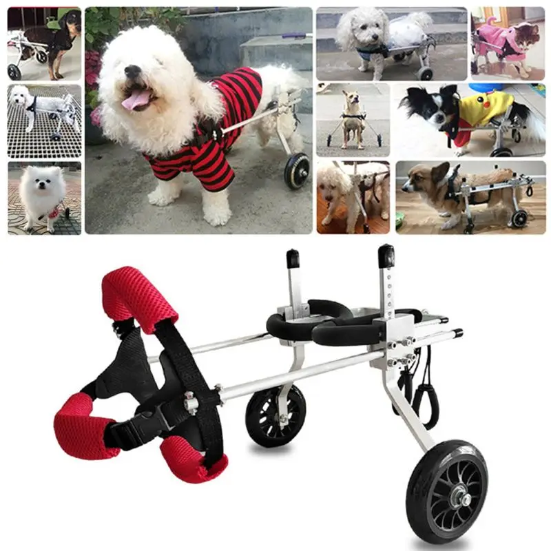

Easy Carry Light Dog Back Legs Wheelchair Aluminum Alloy for Handicapped Hind