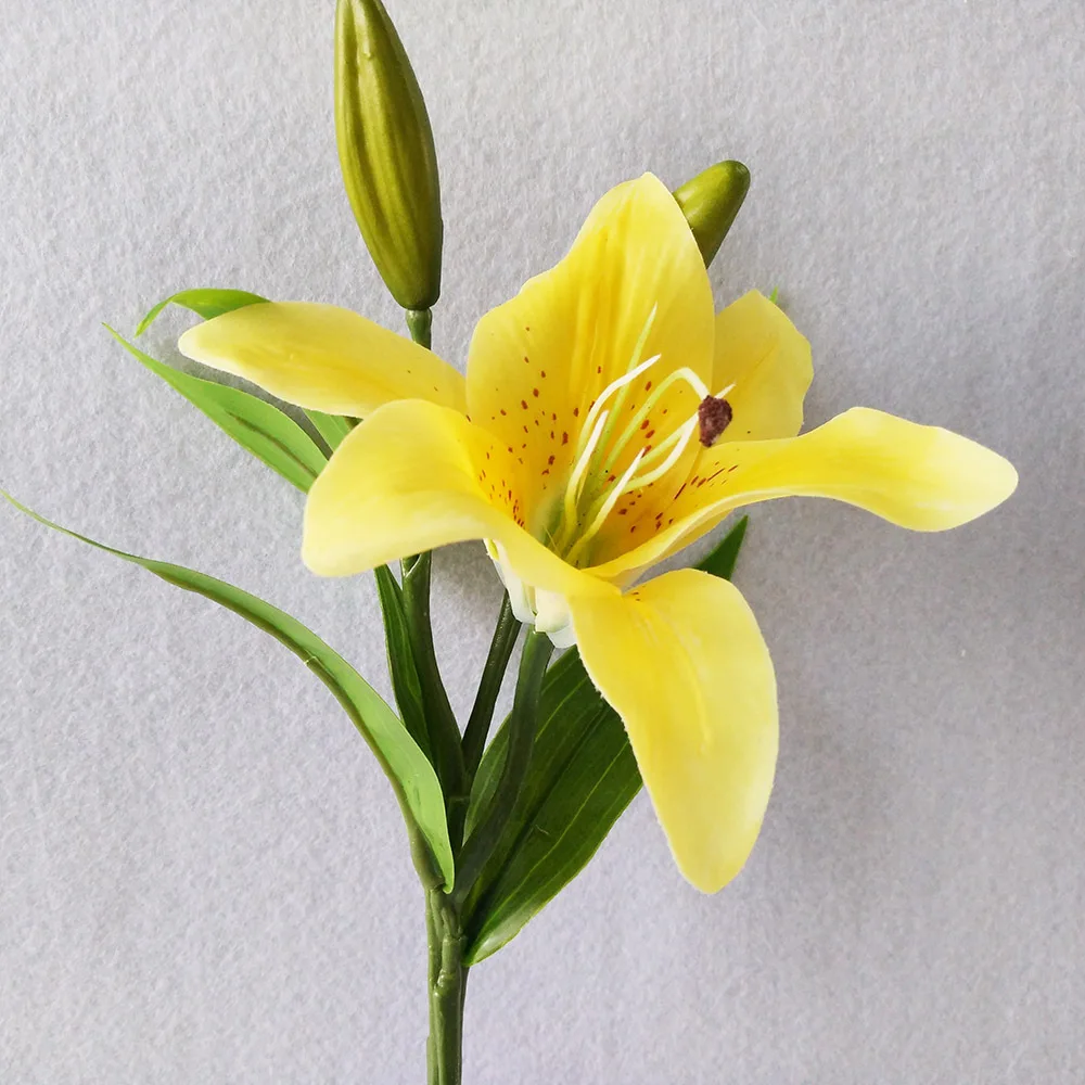 31-3800182677_831230203