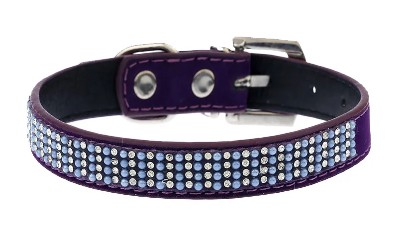 small dog collar