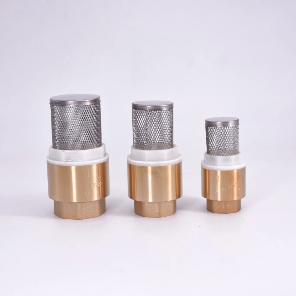 1/2 &quot3/4&quot 1 &quot 2&quot BSPP Женский латунный обратный клапан без возврата со стальным
