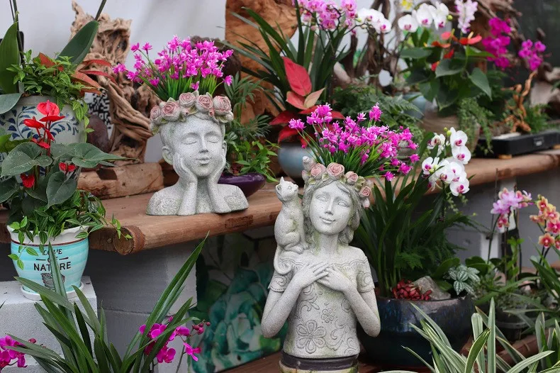 O1CN01Vpdjj31rwoYmBWlhB_!!3234415696