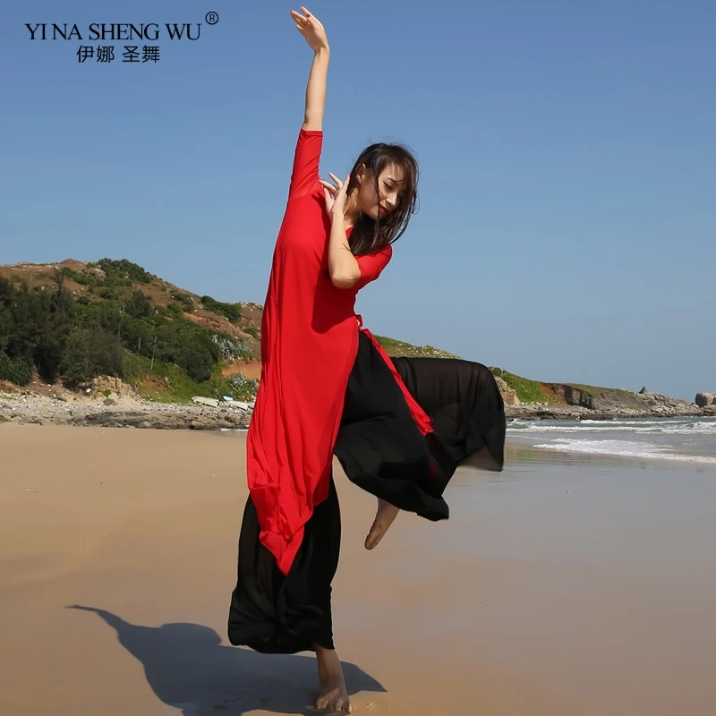 Новейшая одежда для занятий танцами живота танцевальный топ + штаны костюм танца