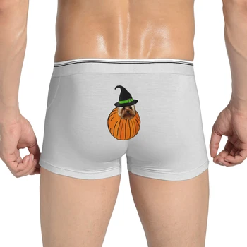 

Halloween Pumpkin Trick Or Treat Men's underwear