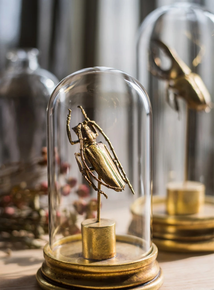 Home Decoration Metallic Beetle Specimen Golden Statue With Glass Cover Ornament Gift Desktop Decor Alternative Art Punk Roc