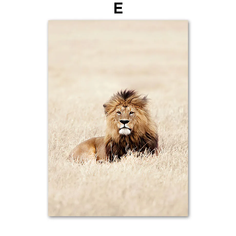 Grains-of-Sand-Arches-Grass-Reed-Palm-Cactus-Giraffe-Nordic-Poster-Wall-Art-Print-Canvas-Painting (7)