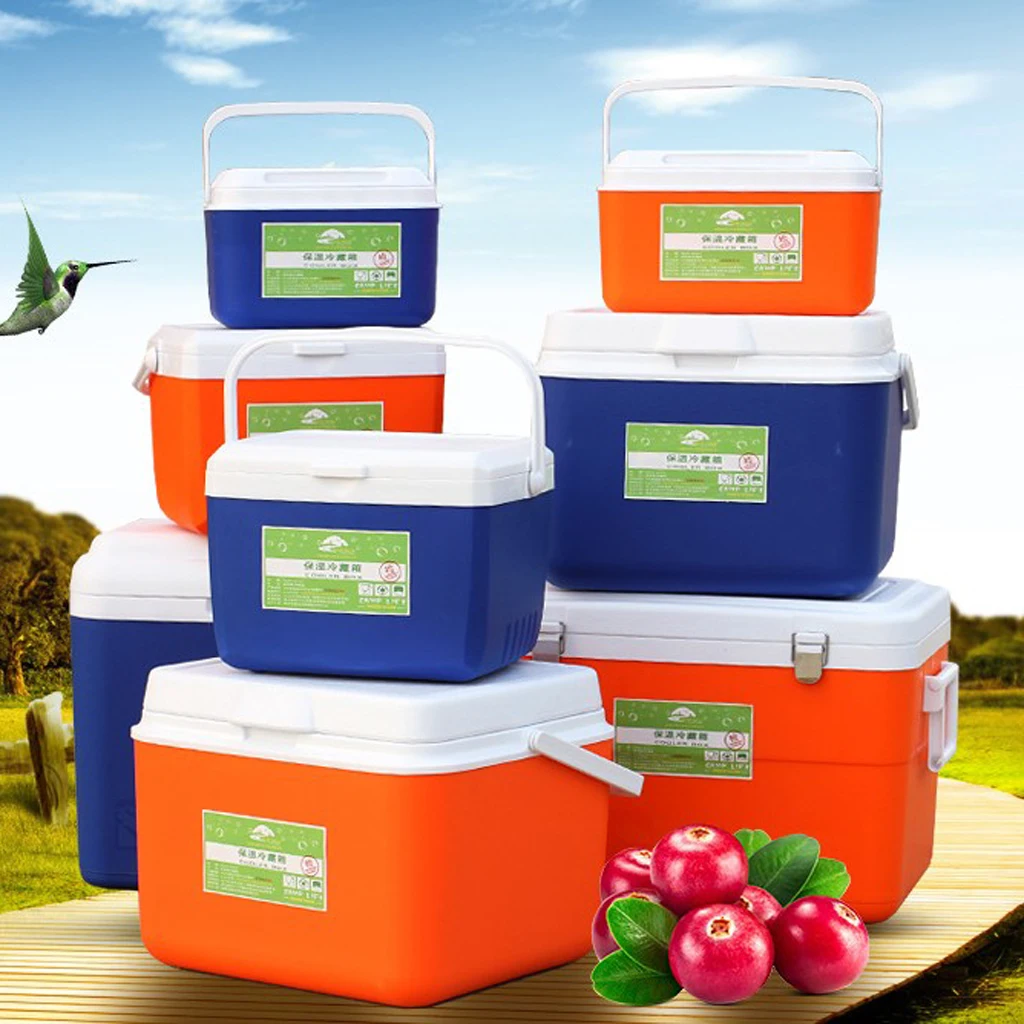 Ice Cooler Box Bucket Car Use Refrigeratorar Household Fresh Keeping Box with 5pcs Ics Packs