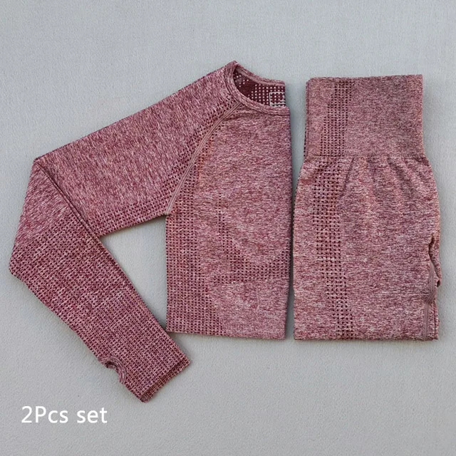 Wine red 2Pcs Set Бесшовный Женский комплект из 2 предметов для йоги, одежда для спортзала, леггинсы для фитнеса+ укороченные рубашки, спортивный костюм, женский спортивный костюм с длинным рукавом, одежда для активного отдыха - Цвет: Wine red 2Pcs Set