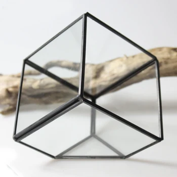 

Irregular Geometric Glass Terrarium Box Fern Moss Succulent Balcony Planter Display Case Plants Pots