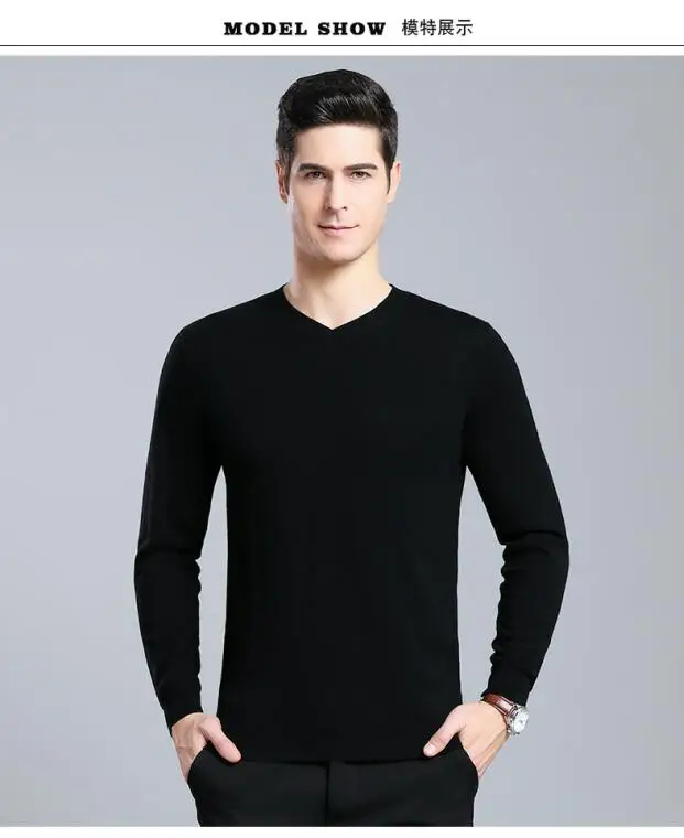 Sweater Men Casual V-Neck Pullover Men Autumn Slim Fit Long Sleeve Shirt Mens Sweaters Knitted Cashmere Wool