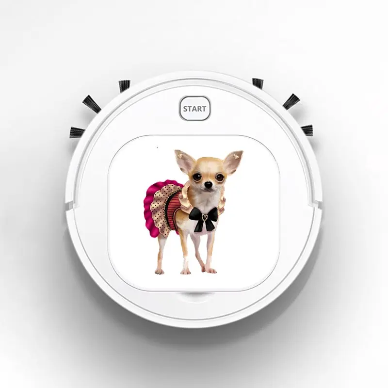 chihuahua robot