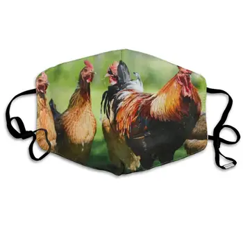 

Face Mask Farm Chicken Great Cycling Half Face Earloop Ski Mask for Boys