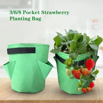 

3/6/8 Pockets Strawberry Tomato Potato Growing Bags Gardening Flower Moisturizing And Breathable Planting Bag