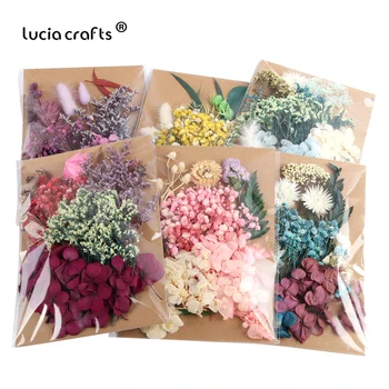 

Lucia Crafts Real Dried Flower Plant DIY Pendant Necklace Jewelry Making Accessories B0704