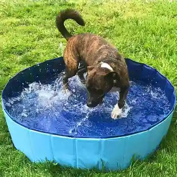 

1Pcs Golden Retriever Bathtub Large Dog Foldable Cat Pet Bathtub Dog Bath Bucket Swimming Portable Pet Pool And Bath Tub