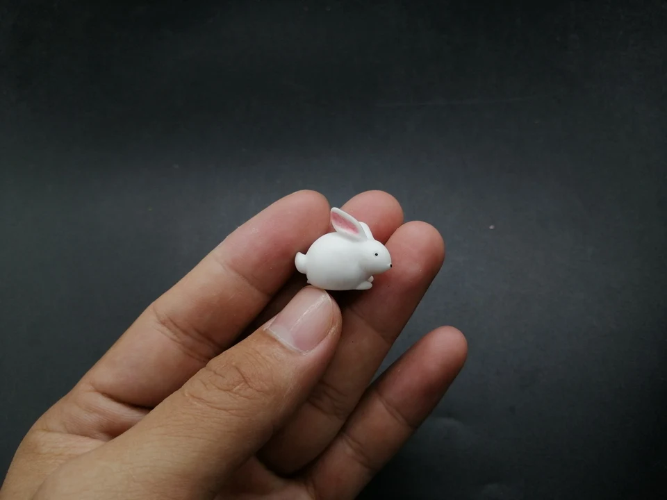 Tiny-A249 (5)