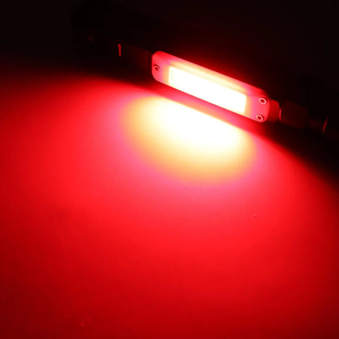 29734-show-2-l9.jpg