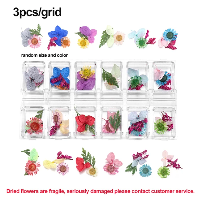 1Box Dried Flowers Dry Plants for Rsein Molds Fillings Epoxy Resin Pendant Tweezers Jewelry Making Craft DIY Nail Art Decoration Style 07