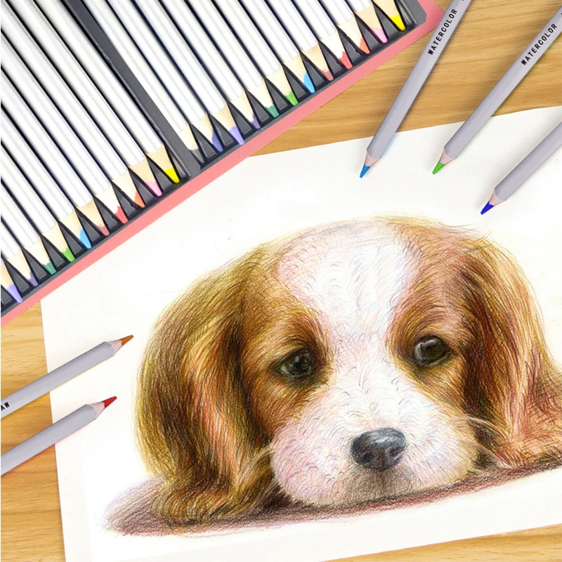 12Colors Watercolor Pencils Drawing Pen Art Set Children Kids Painting Sketching Water Color Pencils Kit School Supplise|Colored Pencils| - Aliexpress