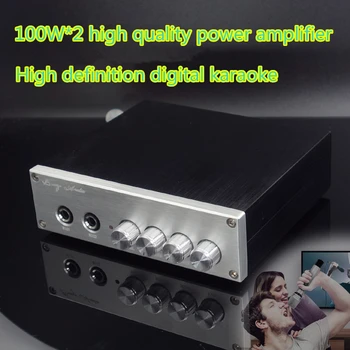 

High quality amplifier high definition digital PT2399 HD Karaoke+TPA3116 Dual 100W Amplifier