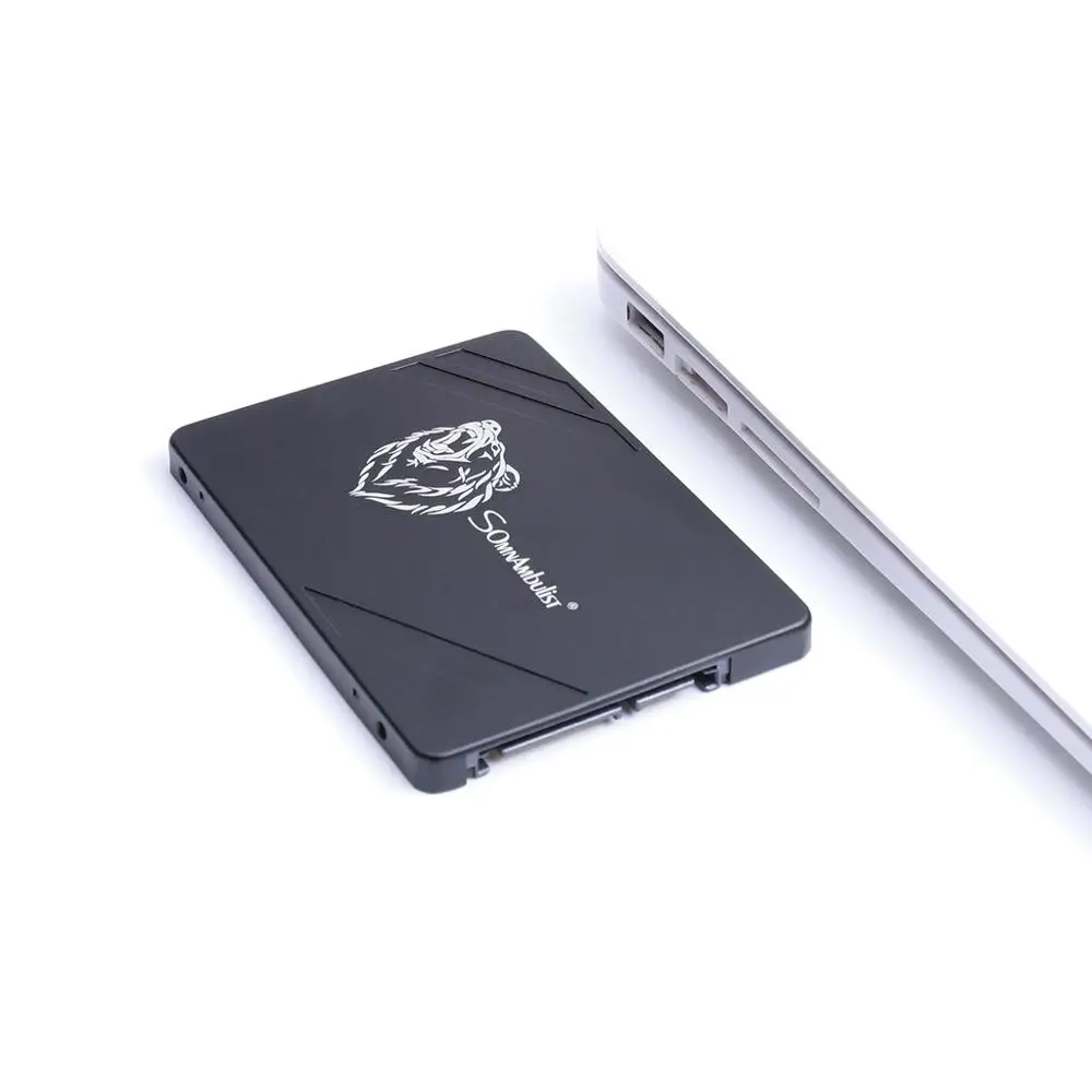 

SOMNAMBULIST Metal Big Brown Bear SSD Hard Drive 2.5 SATA3 SSD 120GB SATA III 240GB SSD 480GB SSD 960GB 7mm Desktop Laptop Inter