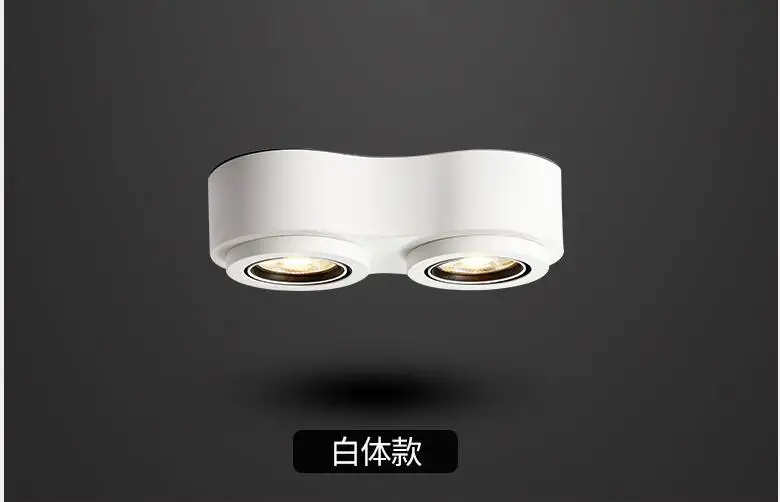 LED Downlight.jpg2