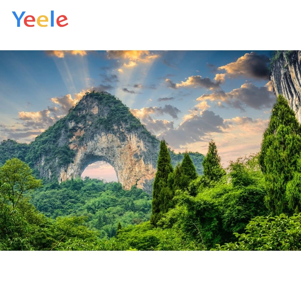 

Yeele Mountain Forest Green Screen Natural Scenery Photography Backgrounds Custom Photographic Backdrop For Photo Studio Props