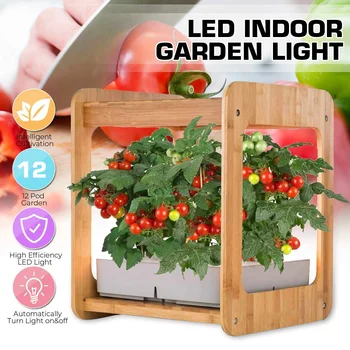 

Hydroponic Indoor Gardening Growth Light Plant Grow Box Cabinet With Bamboo Frame Planter Water Hydroponic Garden System Kit