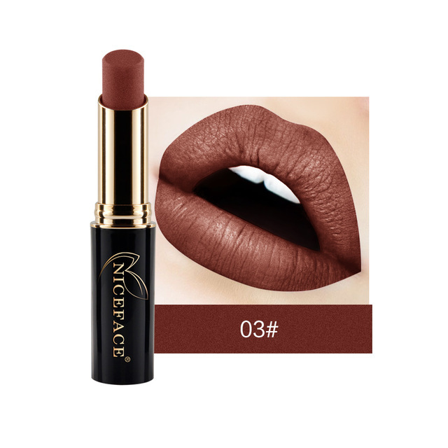 24 Colors Matte Women Lipstick Labiales Beauty Make Up Long Lasting Waterproof Metallic Lipstick Drop Shipping New Hot TSLM1