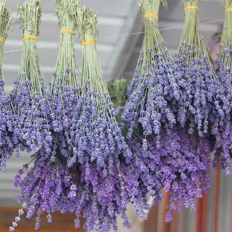 DENISFEN натуральные сухие цветы лаванды декоративный цветочный свадебный букет