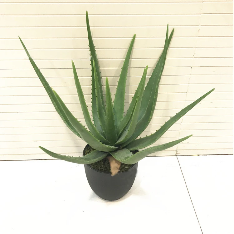 

Artificial Green Aloes Without Pot