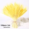 100pcs-23cm-yellow