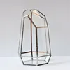 Geometric Irregular Glass Terrariums Tabletop Miniature Garden Vase Quartz Shape Solder Green House Plant  Home Decorating 4